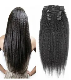 HL HL Brazilian Clip in Human Hair Extensionsアフリカ系アメリカ人の100リアルヘアクリップのためのキンキーストレートクリップイン拡張8444241