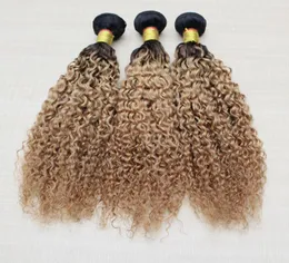 Jerry Curly Ombre Hair Extensons Brazylijska fala ciała ludzkie włosy Wefves Dwa -Ston Weft 1B27 1B30 Peruwiańskie falujące falu