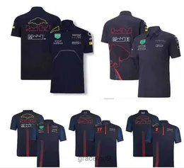 Męskie Polos F1 Formula 1 Racing T-shirt Summer New Team Polo Suit sam w tym samym stylu NKTQ