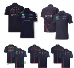 Męskie Polos F1 Formula 1 Racing T-shirt Summer New Team Polo Suit w tym samym stylu C7HG