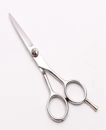 C1002 55 Quot 16cm 440C Zamożne logo Profesjonalne nożyczki do włosów ludzkie Barber039s Nożyczki fryzjerskie cięcie lub przerzedzenie 7686401