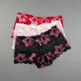 Kvinnors trosor 2024 Transparent underkläder Kvinnor Sexig spetsbikini Bottom Boyshorts Hollow Out Ladies Floral Boxers M-XXL