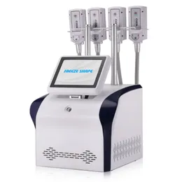 Cryo Therapy Body Slimming Body 모양 4 핸들 자유 모양 RF EMS Cryolipolysy 플레이트 Machine421