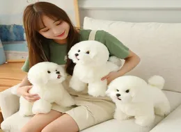 高品質のシミュレーションBichon Frize Dog Plush Toy Stifted Korea LifeLike Pomeranian Dog Puppy Toys Home Docor Kids Brithday LJ2011237737