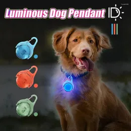 Hundebekleidung, RGB-Farbwechsel, LED-Halsband, Licht, bunt, 4 Modi, Anti-Verlust-Anhänger für Haustiere, IPX8, wasserdicht, langlebig