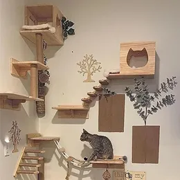 Katzenkletterwand, Hängematte, Kratzbaum für Katzen, Holzmöbel, Leiter, Stufen, schlafende und spielende Katzen, 240304