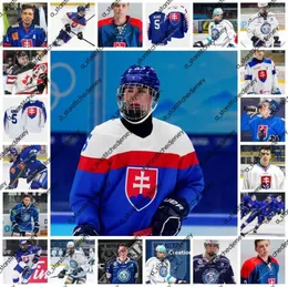 College Hockey trägt Simon Nemec Eishockey-Trikot, individuelles Vintage-Trikot der slowakischen Extraliga HK Hokejovy Klub Nitra 2021 IIHF World C9728517