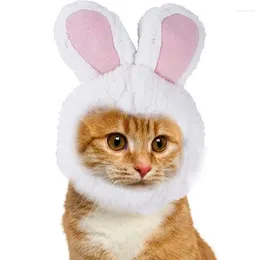 Gato trajes coelho cão chapéu traje engraçado novidade ajustável macio adorável criativo animal de estimação cosplay vestir-se festa de halloween