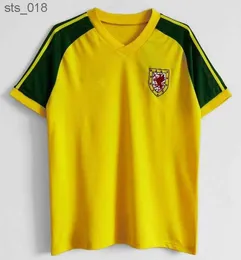 Soccer Jerseys 1976 1983 1983 Gales Wales Retro Soccer Jersey Hughes Home Saunders Rush Boden Speed ​​Vintage Classic 축구 Shirth240307