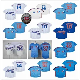 Camisa de beisebol personalizada Montreal Expos 14 Pete Rose 49 Warren Cromartie 4 Delino Deshields 33 Larry Walker 37 Steve Rodgers 51 Randy Johnson costurado azul branco