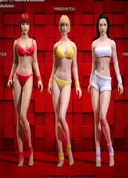 Em estoque conjunto completo 112 t03a t03b figura de ação feminina corpo sem costura com cabeça esculpida bronzeado pálido estatueta dolls4479138