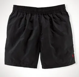 Pantaloncini da uomo caldi Pantaloncini da bagno estivi firmati Ricamo cavallo da guerra Polo corta da spiaggia traspirante Pantaloncini in tessuto a rete da surf ad asciugatura rapida