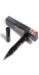 2 في 1 Eyeliner Stamp Liquid Eye Liner Pencil مقاومة للماء طويلة الأمد كحل أسود قلم محترف عيون Mackup8313109