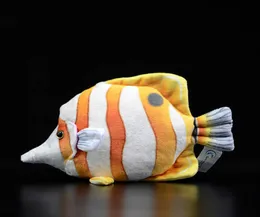 Niedlicher tropischer Fisch Longnose Copperband Beaked Butterflyfish Simulation Chelmon Rostratus Tier Weiches echtes Plüschtier Geschenk Q0724138959