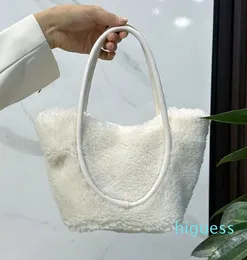 2024 Peluche dal design coreano Nuova borsa a tracolla carina in lana autunno/inverno Peluche portatile versatile