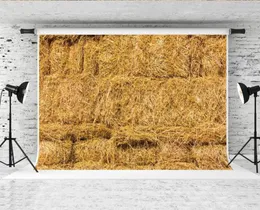 Dream 7x5ft Fresh Straw Hay Bales Pography Backdrop Autumn Party Po Booth background for pographer prose prop studio7874193