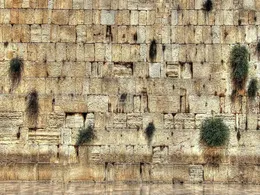 Tapestries Decorate Rooms In The City Of Jerusalem On The Western Wall 240304