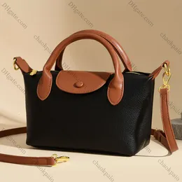 Trendy Niche Longxiang Bag 2023 Soft Leather Pattern Color Matching Small Wing Bag Versatile Handheld Single Shoulder Diagonal Cross Womens Bag