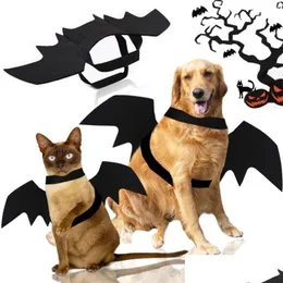 猫のコスチューム犬のためのハロウィーン