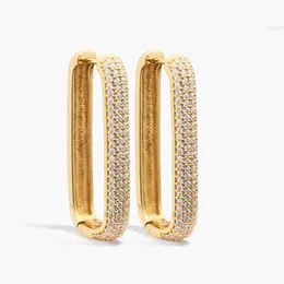 Luxury Zircon Pave Earrings Crystal Square Drop 18k Guldpläterad rostfritt stål diamant