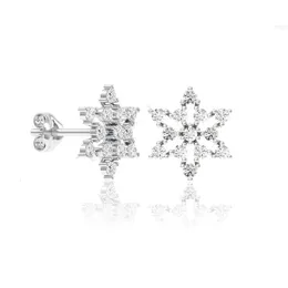 925 Sterling Silver Korean version Moissanite Stud Cubic Zirconia Earring med 1,00 diamantvikt tillgänglig vid export