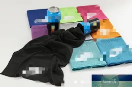 Asciugamano sportivo alla moda di moda asciugamano ghiacciato allungato asciugamano freddo sport hood gelido logo personalizzabile
