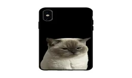 5390L2 Silikon İPhone13pro Maks Slim Lovely Cat Desen Koruyucu Yumuşak Desen Geri Kapak2718393