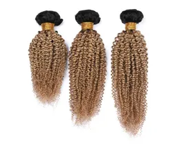 Honey Blonde Ombre Kinky Curly Indian Human Hair Weave Bundles 3PCS 300GRAM 1B27 Dark Root Light Brown Ombre Wefts Kinky CU2192519