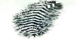 Ostrich Feathers For Appearing Cane and Vanish Cane BlackWhite Magic Trick Fun Magic Party Magic1643275