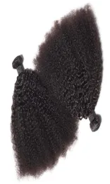 Brezilya bakire insan saçı afro kinky kıvırcık dalga işlenmemiş remy saç örgüsü çifte atkılar 100 gbundle 2bundlelot boyanabilir bl5531727