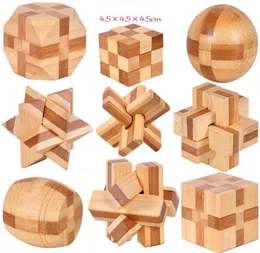 IQ Brain Teaser Kong Ming Lock 3D Wooden Interlocking Buzzles لعبة لعبة للبالغين Kids OOA39614624762