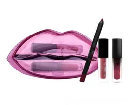 New Beauty Set of lip pencilMini Liquid lipstickMini lip Gloss Big mouth set 4 colors 3pcsset with box1500882