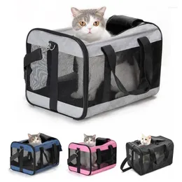 Katzentragetasche, atmungsaktiv, tragbar, Schulter-Haustiergeschirr, zusammenklappbar, neigbar, große Kapazität, Handtrage, Hundezubehör