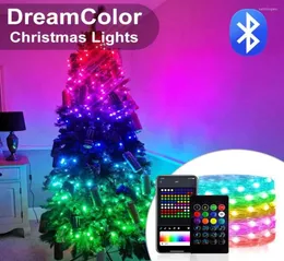 سلاسل 10M 5M مصابيح عيد الميلاد USB LED COLER DREAM WS2812B RGBIC Bluetooth App Application Fairy Garland Party Decoration4795996