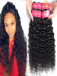 9A Water Wave Prazilian Hair Extension 100 Bult Bult Bundle 3PCSLOT Dyeable Brazilian Wave Wave Virgin Hair1833783