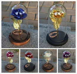 Drop Red Rose In A Glass Dome with LED Light Wooden Base for Valentine039s Day Gifts Christmas presen 22cm x115cm7343652