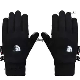 Northfaces eldiven erkek kadınlar kış soğuk motosiklet manşet spor beyzbol eldivenler kuzey ceket eldiven 110