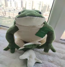 Dorimytrader Kawaii Simulation Animal Frog Plush Toy Big Cartoon Cartoon Green Frogs Dolls for Baby Gift 32cm 60cm Dy615581401096