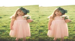 Country Style 2017 Blush Pink Lace and Chiffon Toddler Flower Girls Dresses For Weddings billiga kortärmad te -längd Formell klänning5289708