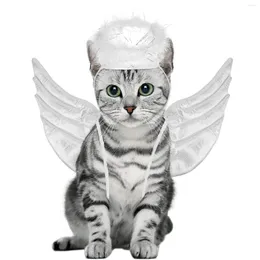 أزياء Cat Popetpop Halloween Angel Wings شكل أزياء الحيوانات الأليفة ترحيل الملابس لوازم تأثيري فاخرة لعيد الميلاد