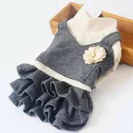 Hundkläder lyxig ullrock vinter varma kläder för små hundar stickade tshirt tutu kjol designer julklappar 10e2113617