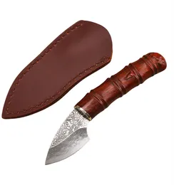 Coltello a lama fissa di Damasco di alta qualità VG10 Lama in acciaio di Damasco Manico in legno Coltello da caccia dritto per sopravvivenza all'aperto Fodero in pelle