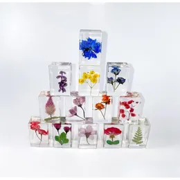 Ciência descoberta pressionado flor paperweight ciência disery flores reais coleção de amostras em resina papel pesos cubo para dhw43