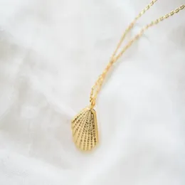Modischer Muschelanhänger, vertraglich vereinbarte Halskette, Gold, Silber, Rosenfarbe, optional 254 m