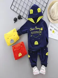 Tuta per bambini Set di abbigliamento per bambini Neonati maschi Ragazze Moda Tute sportive Felpe con cappuccio Felpe Pantaloni Giacca di marca Vestiti per ragazzi7182460