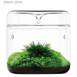 Vase Micro Landscape Glass Bottls Creativity Dew Collection Glass Vase Lase Moss Bansai Landscape Glass Home Decor L240309