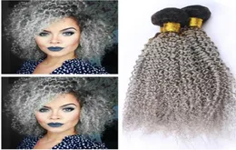 Verworrene lockige brasilianische graue Ombre-Menschenhaar-Webart-Bundles 3-teiliges Los 1BSilver Grey Dark Root Ombre Virgin Human Hair Weft Extensio1628325