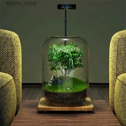 Vaser kreativa grå glasflaskor mossa landskapsarkitektur flaska saftiga glas vas hydroponic container mikro landskap glas terrarium l240309