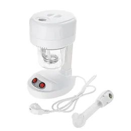 Portable Desktop Steamer Negative Ion Moisturizing Sprayer Skin Care US Plug 110V 240226