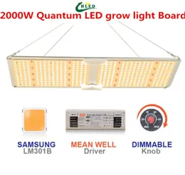 Led Grow Grow Light Quantum Board Samsung LM301B Meanwell 드라이버 전체 스펙트럼 IR 실내 식물을위한 Red Grow Lamp Growing Light 220W3046483